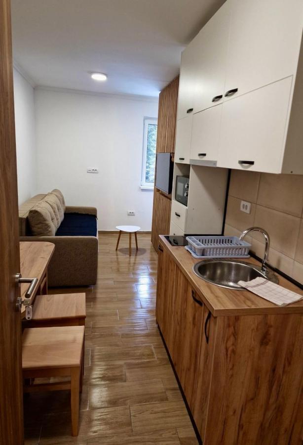 Appartement Suncana Planina Kopaonik Extérieur photo